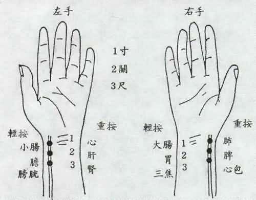 【读经典学中医】《难经》白话解:第一难,中医把脉的原理 【读经典学中医】《难经》白话解:第一难,中医把脉的原理