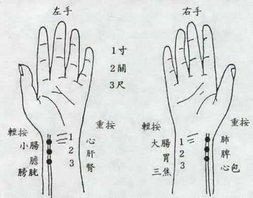 【读经典学中医】《难经》白话解：第一难，中医把脉的原理