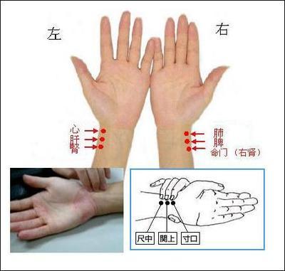 【读经典学中医】《难经》白话解：第二难，中医把脉第一步定位