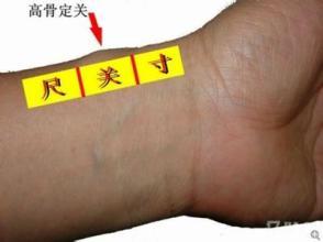 【读经典学中医】《难经》白话解:第二难,中医把脉第一步定位 【读经典学中医】《难经》白话解:第二难,中医把脉第一步定位