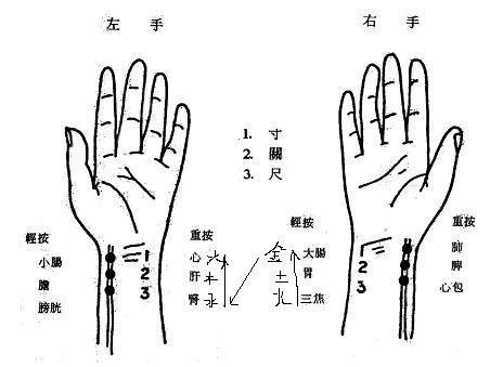 【读经典学中医】《难经》白话解：第二难，中医把脉第一步定位