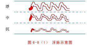 【读经典学中医】《难经》白话解：第三难，中医把脉诊断病脉和死脉