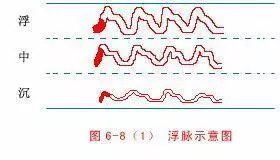 读经典学中医：《难经》白话解密第四难-把脉分阴阳