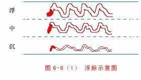 【读经典学中医】《难经》白话解-第五难 诊五脏脉的指法