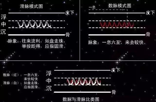 中医二羊整理：中医把脉手把手教，最全动图展示并心法口诀，建议收藏！