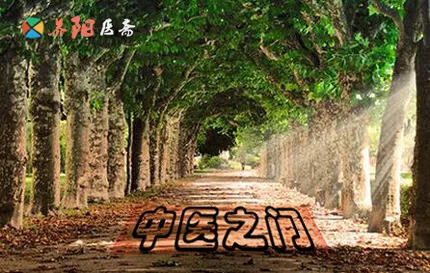 找二羊看病以及学中医