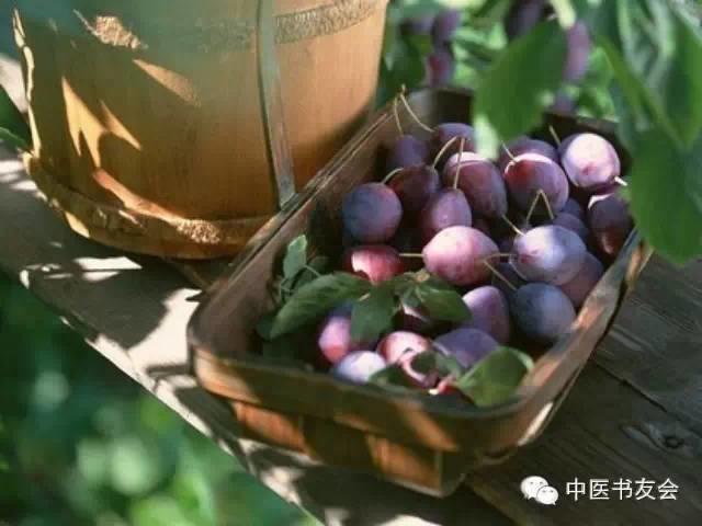 国医大师李士懋讲常用方剂：乌梅丸的应用