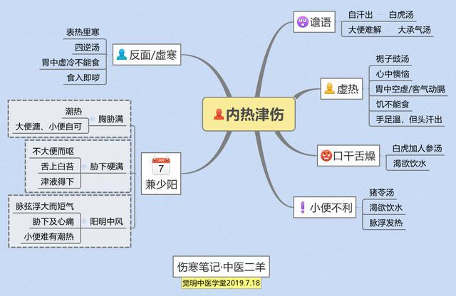 原味伤寒论41：津液内伤后辨证处方和鉴别