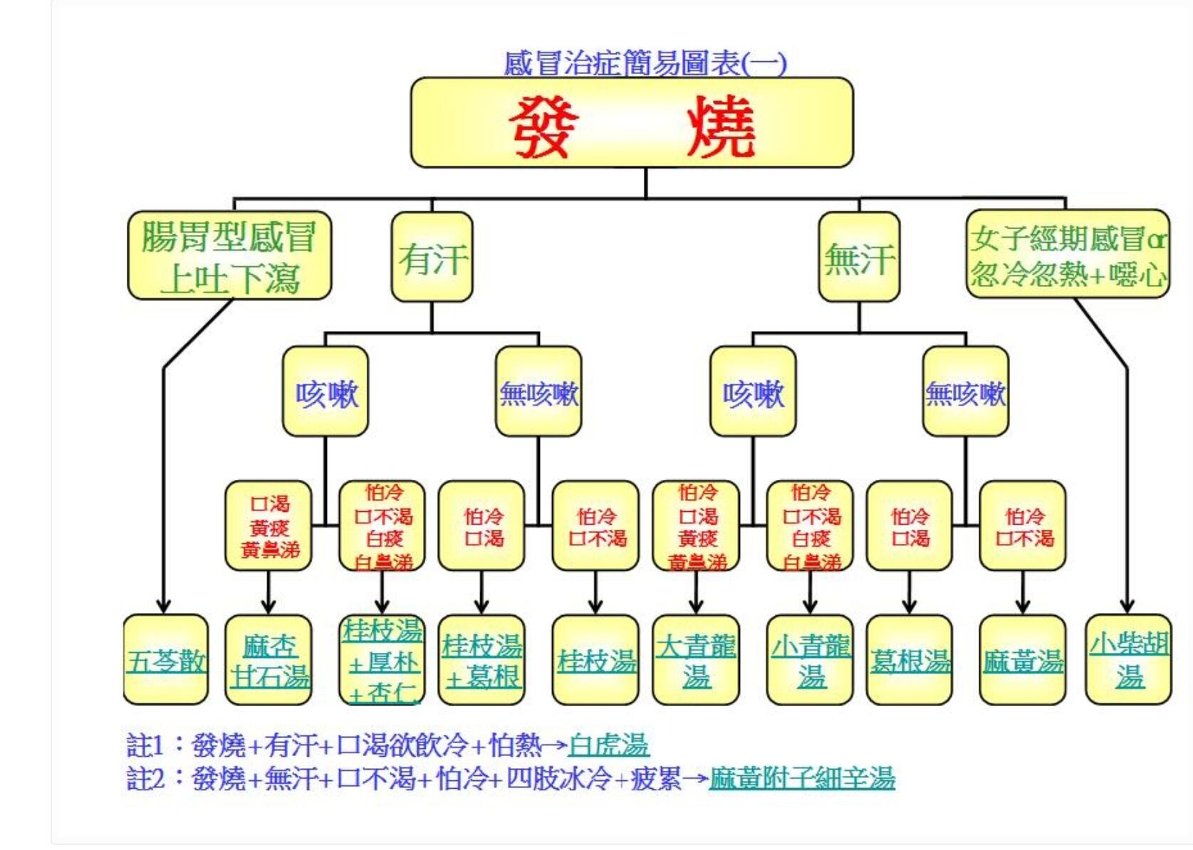 倪海厦先生解读感冒经方（精华整理）